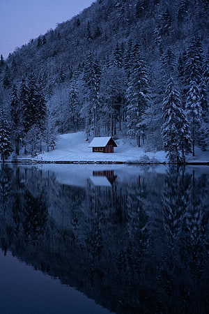 Serene Red Cabin by a Frozen Lake in Snowy Forest at Twilight HD phone wallpaper