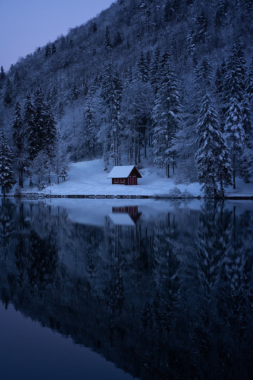 Serene Red Cabin by a Frozen Lake in Snowy Forest at Twilight HD phone wallpaper