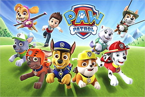Paw Patrol Team Running Across Green Hills With Blue Sky And Show Logo HD wallpaper