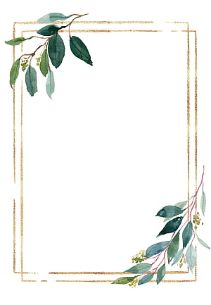 Elegant Watercolor Eucalyptus Leaves and Gold Foil Border Frame Design HD phone wallpaper