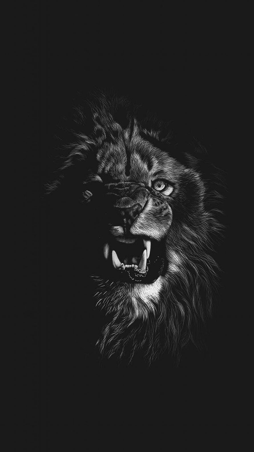 Fierce roaring lion head illustration in black and white with detailed fur texture and sharp claws HD phone wallpaper