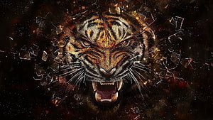 Fierce Roaring Tiger Face Breaking Through Shattered Glass Dark Background HD wallpaper