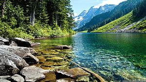 Crystal Clear Alpine Lake Surrounded by Lush Green Forest and Rocky Mountains HD wallpaper