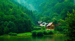 Serene Lakeside Cottages Nestled in Lush Green Forest Valley HD wallpaper