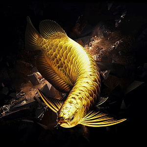 Golden Arowana Fish Swimming Over Dark Shattered Crystals and Glittering Gold Dust HD phone wallpaper