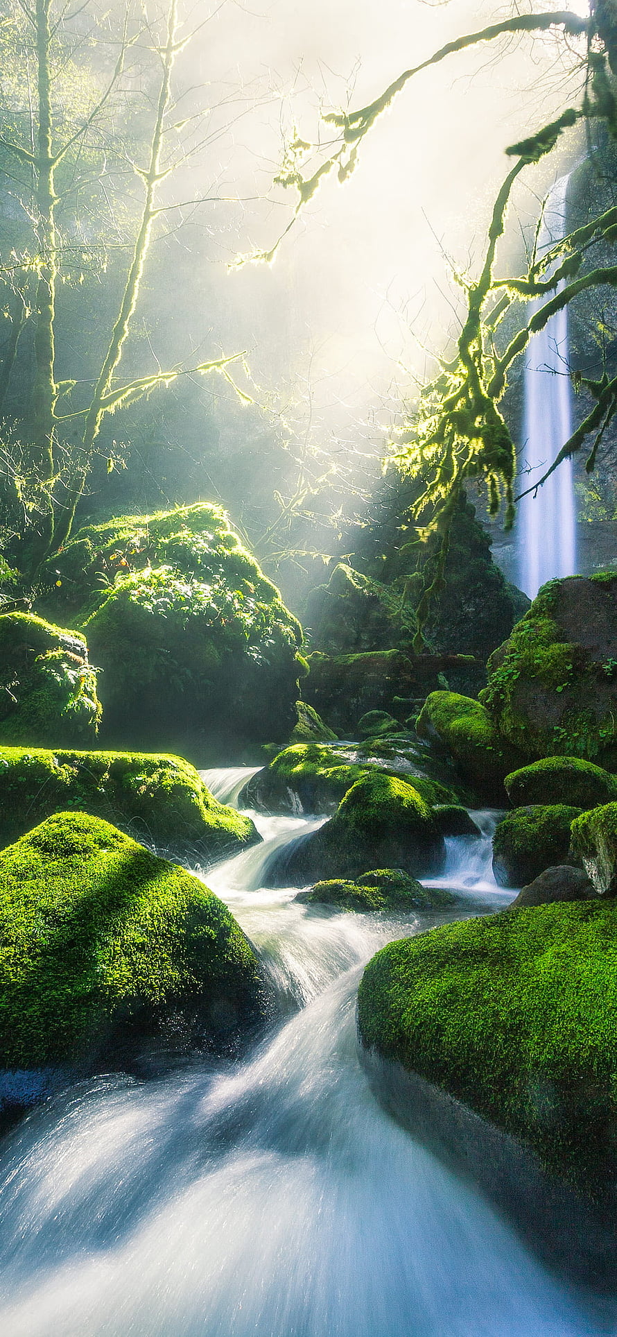 Sunlit Mossy Forest Stream with Waterfall and Rays of Light HD phone wallpaper