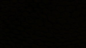 Vantablack Matte Black Texture Background with Subtle Organic Surface Details HD wallpaper