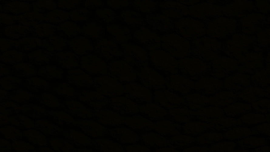Vantablack Matte Black Texture Background with Subtle Organic Surface Details HD wallpaper