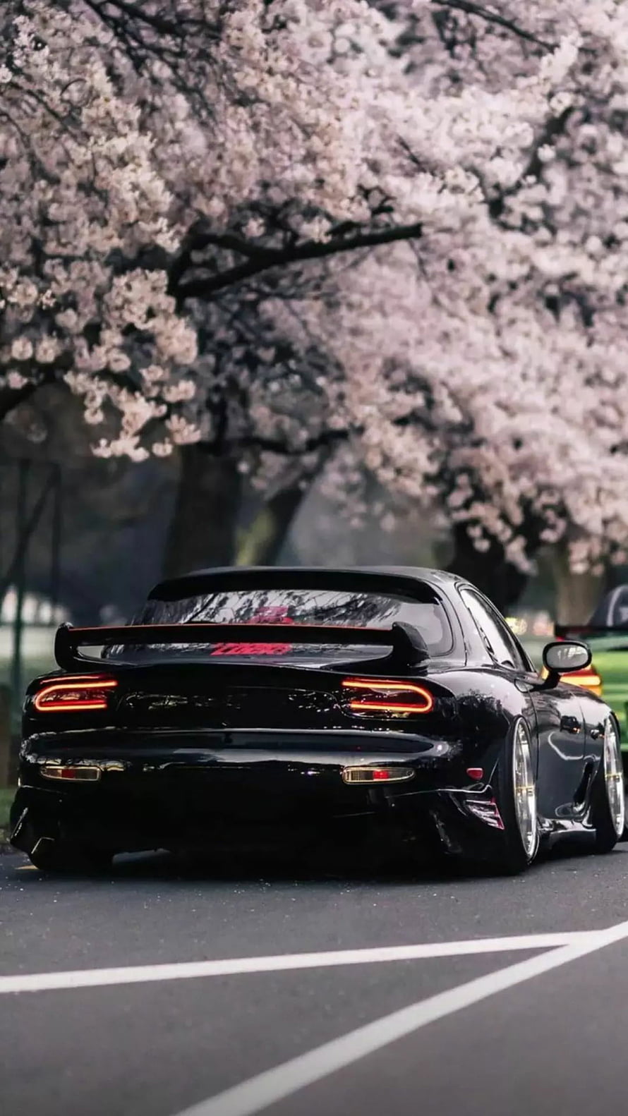 Black Mazda RX-7 Stance Build Parked Beneath Cherry Blossom Trees HD phone wallpaper