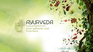 Ayurveda Herbal Medicine and Natural Healing Concept with Spices and Botanical Elements HD wallpaper
