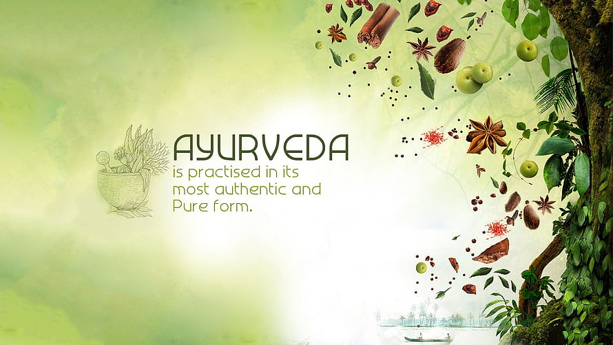Ayurveda Herbal Medicine and Natural Healing Concept with Spices and Botanical Elements HD wallpaper