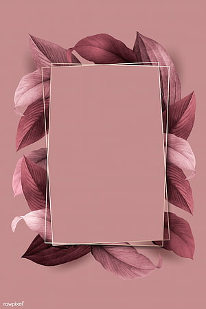 Elegant Pink Botanical Frame with Tropical Leaves and Gold Border HD phone wallpaper