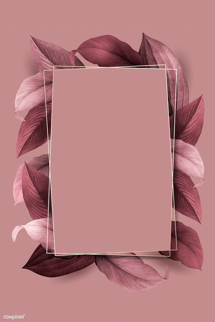 Elegant Pink Botanical Frame with Tropical Leaves and Gold Border HD phone wallpaper