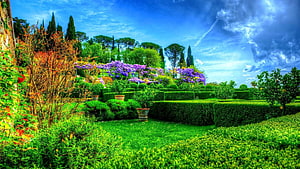 Vibrant Spring Garden Landscape With Manicured Hedges And Purple Wisteria HD wallpaper