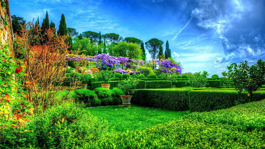 Vibrant Spring Garden Landscape With Manicured Hedges And Purple Wisteria HD wallpaper
