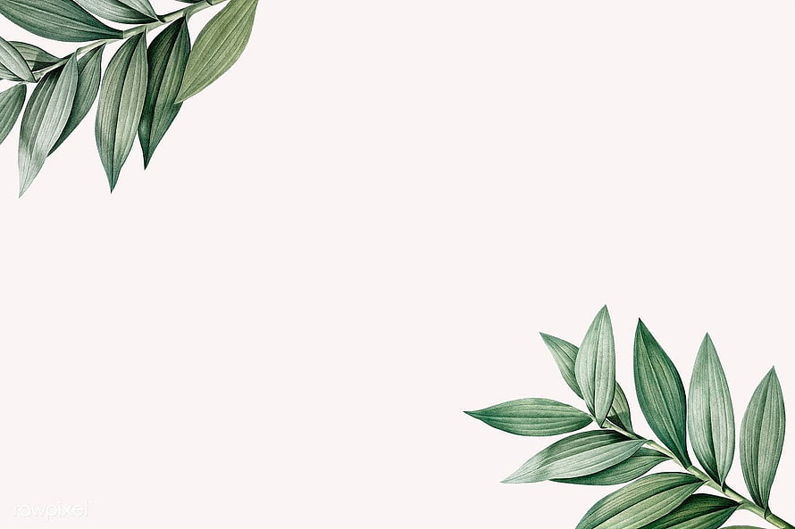 Elegant Green Palm Leaves on White Background HD wallpaper