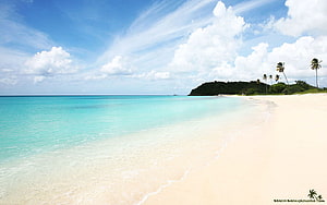 Tropical Island Beach With Turquoise Water, White Sand, and Palm Trees Under a Blue Sky HD wallpaper