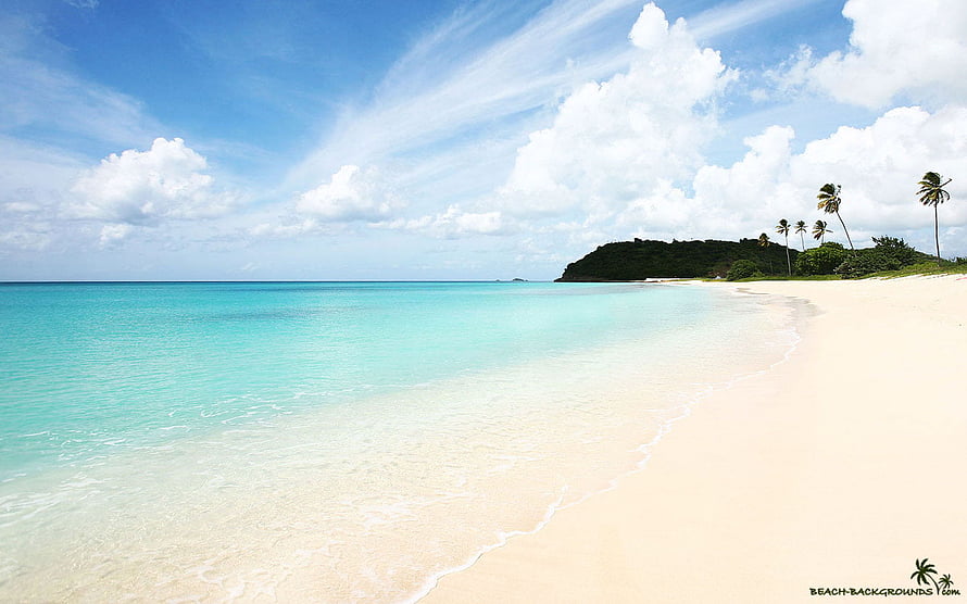 Tropical Island Beach With Turquoise Water, White Sand, and Palm Trees Under a Blue Sky HD wallpaper