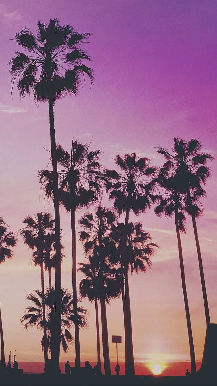Silhouetted Palm Trees Against a Vibrant Purple Sunset Sky HD phone wallpaper