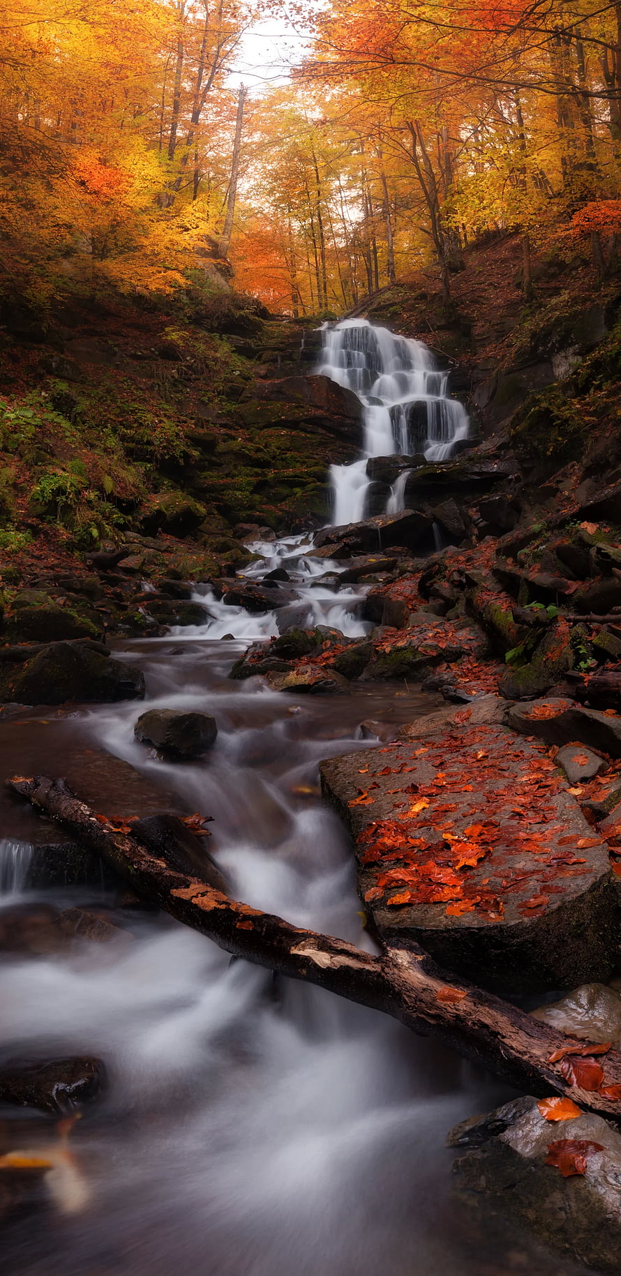 Misty Autumn Waterfall Cascading Through Vibrant Orange and Red Forest Foliage HD phone wallpaper
