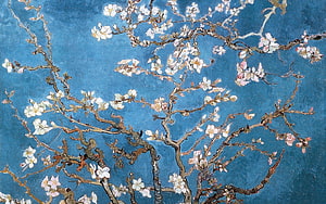 Vincent van Gogh Almond Blossom Painting with White Flowers on Blue Background HD wallpaper