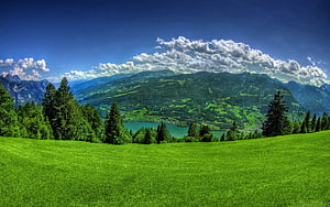 Vibrant Alpine Meadow with Emerald Lake and Forested Mountain Range Under Blue Sky HD wallpaper