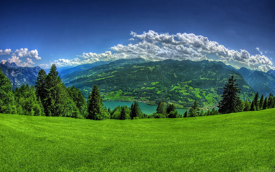 Vibrant Alpine Meadow with Emerald Lake and Forested Mountain Range Under Blue Sky HD wallpaper