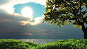 Serene Lakeside Landscape with Lush Green Grass and a Large Tree Under a Dramatic Sky HD wallpaper