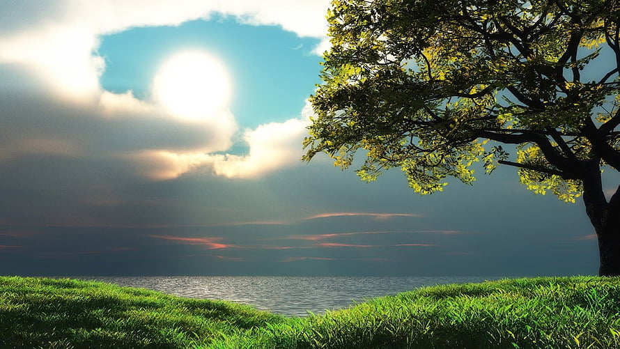 Serene Lakeside Landscape with Lush Green Grass and a Large Tree Under a Dramatic Sky HD wallpaper