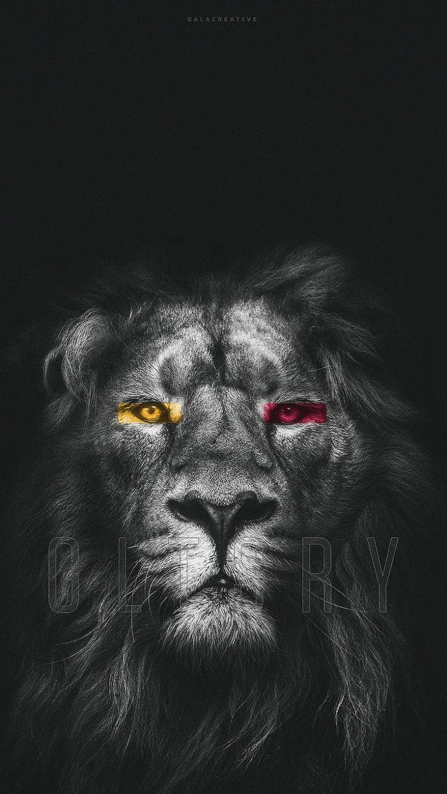 Galatasaray Lion Emblem with Heterochromia Eyes on Dark Background HD phone wallpaper