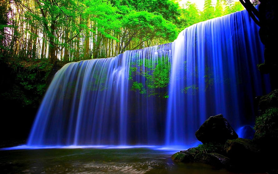 Vibrant Blue Waterfall Cascading Through Lush Green Bamboo Forest HD wallpaper