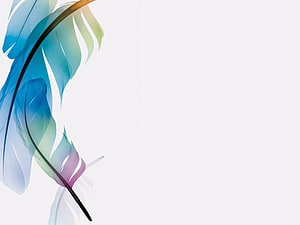 Colorful Blue and Green Feather Illustration on White Background HD wallpaper