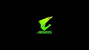 Gigabyte AORUS Gaming Logo with Neon Green Eagle Emblem on Black Background HD wallpaper