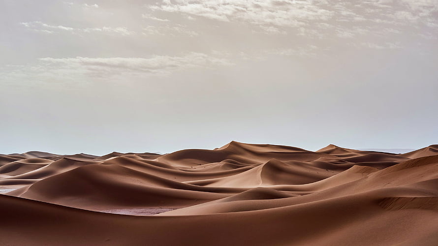 Sweeping Sand Dunes Under a Soft Overcast Sky in a Vast Desert Landscape HD wallpaper