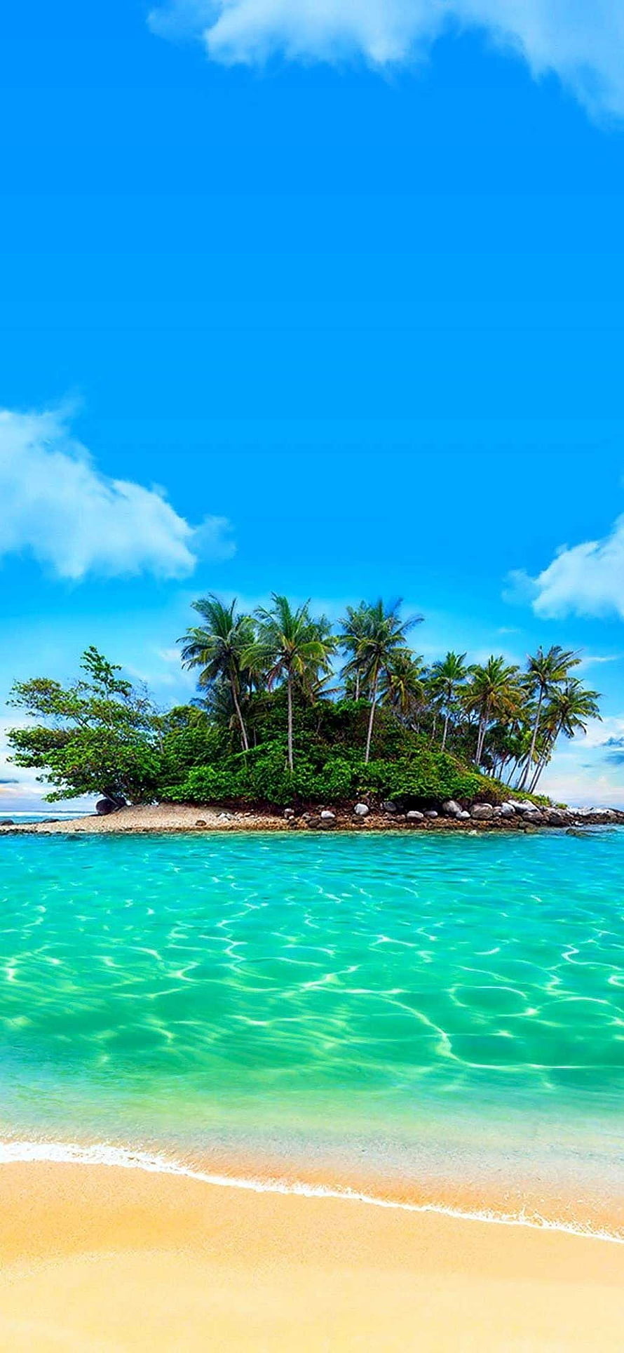 Tropical Island Paradise With Palm Trees And Turquoise Water HD phone wallpaper