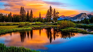 Serene Sunset Reflections Over a Mountain River with Pine Trees and Golden Sky HD wallpaper