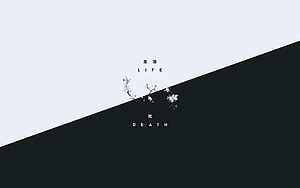 Minimalist Black and White Life and Death Concept with Delicate Floral Branch HD wallpaper