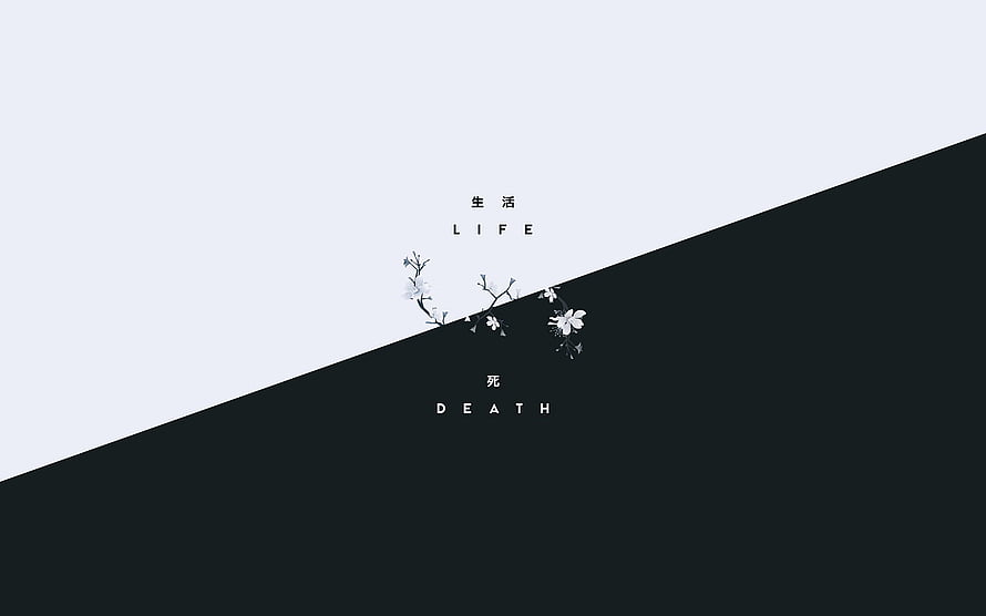 Minimalist Black and White Life and Death Concept with Delicate Floral Branch HD wallpaper