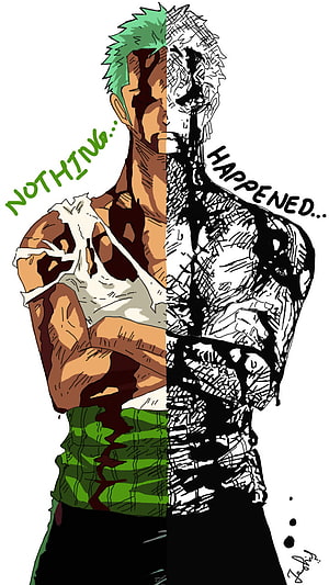 Roronoa Zoro Split Artwork Nothing Happened Manga Style Illustration, Zoro, art, manga, onepiece, anime, digitalart HD phone wallpaper