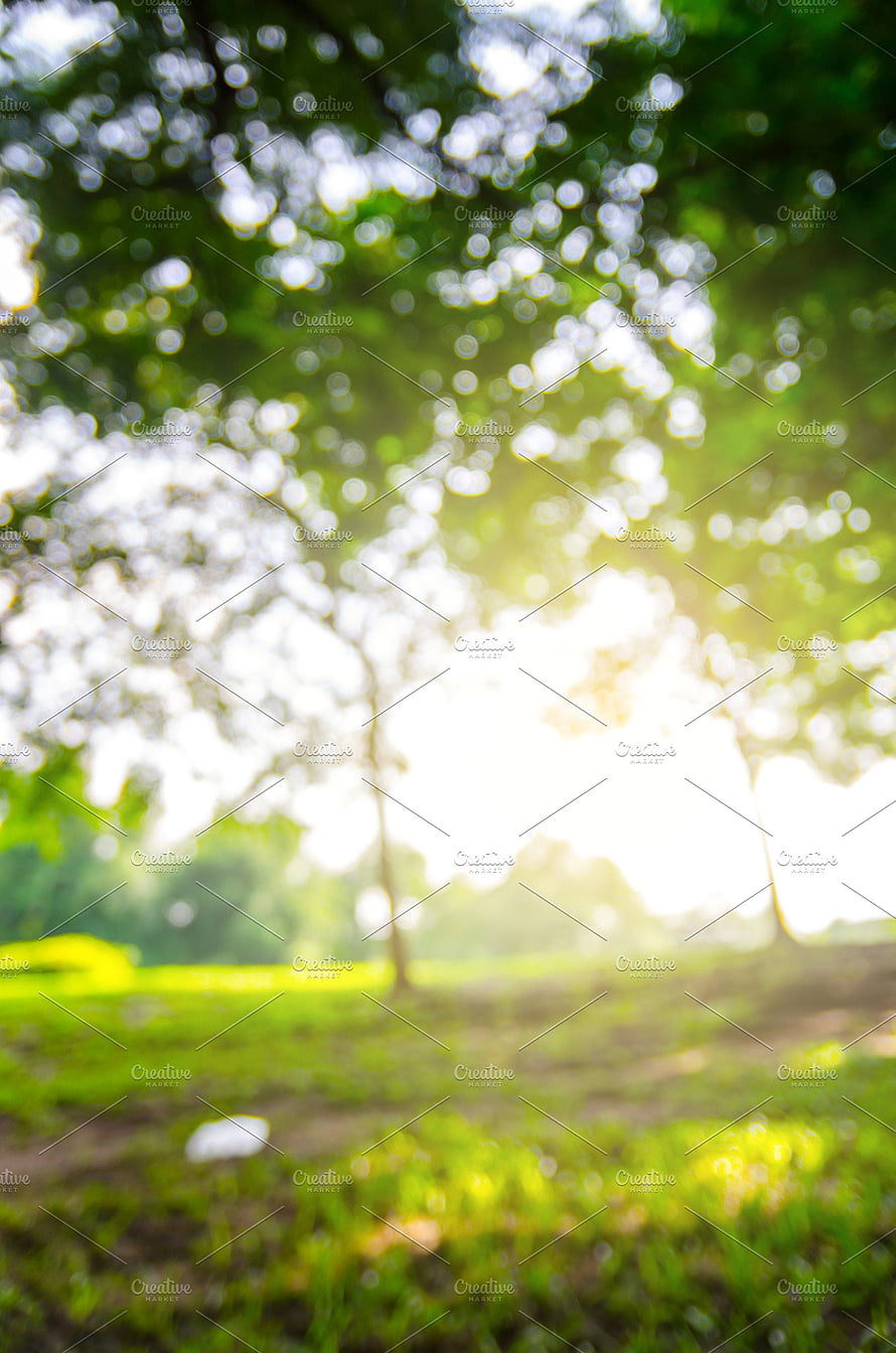 Soft Focus Green Forest Background With Sunlight Bokeh HD phone wallpaper