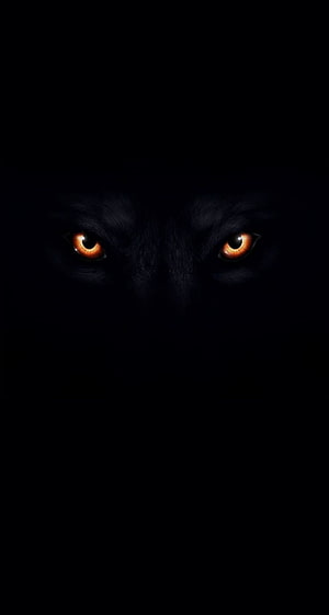 Black Wolf With Glowing Red Eyes In Darkness HD phone wallpaper
