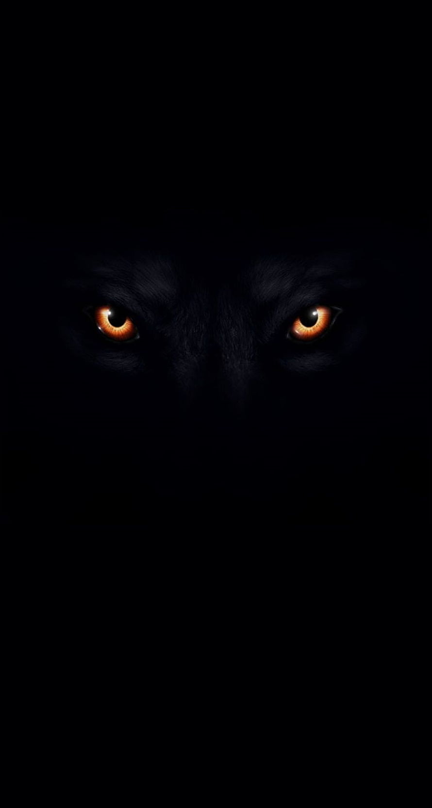 Black Wolf With Glowing Red Eyes In Darkness HD phone wallpaper