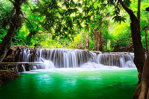 Emerald Waterfall Pool in Lush Tropical Jungle with Cascading Water and Dense Green Foliage HD wallpaper