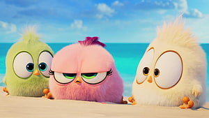 Angry Birds Movie 3 Fluffy Hatchlings on a Sunny Beach HD wallpaper