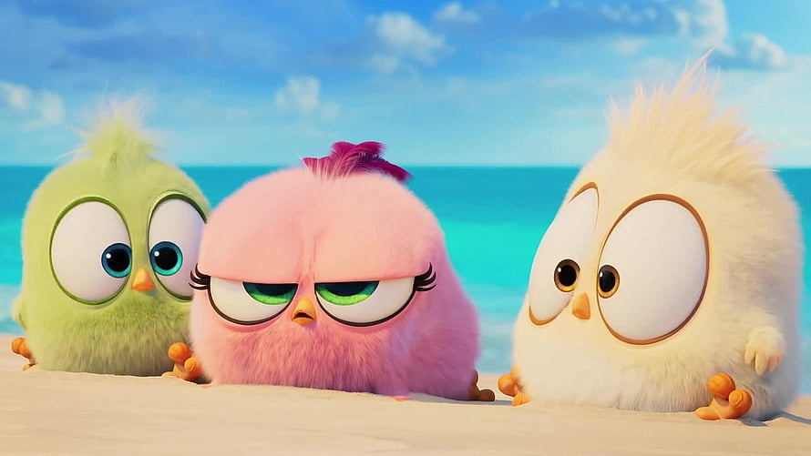 Angry Birds Movie 3 Fluffy Hatchlings on a Sunny Beach HD wallpaper
