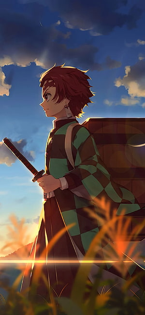 Tanjiro Kamado from Demon Slayer Standing in Field at Sunset HD phone wallpaper