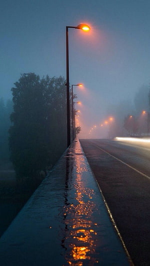 Foggy Street at Night with Glowing Streetlights and Wet Road Reflections HD phone wallpaper
