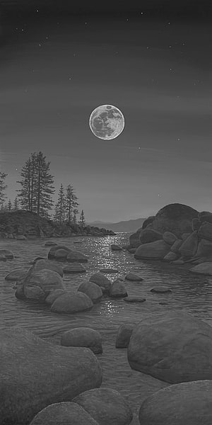 Monochrome Night Landscape with Full Moon Over Rocky Shoreline and Pine Trees HD phone wallpaper