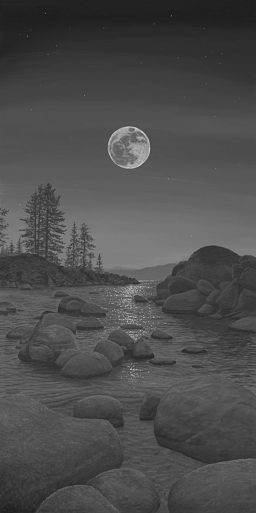 Monochrome Night Landscape with Full Moon Over Rocky Shoreline and Pine Trees HD phone wallpaper