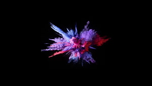 Vibrant Purple Blue And Red Powder Explosion On Black Background HD wallpaper